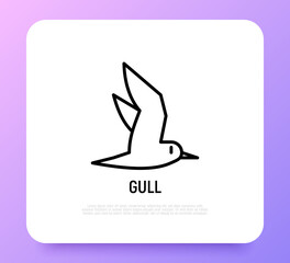 Seagull thin line icon. Modern vector illustration of bird.