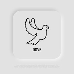 Flying dove thin line icon. Pigeon. Modern vector illustration for logo.