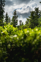 Fototapeta premium Klepac - lookout tower on the peak of Eagle mountains, Czech republic, Poland