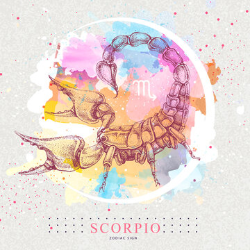Modern magic witchcraft card with astrology Scorpio zodiac sign. Hand drawing Scorpion illustration
