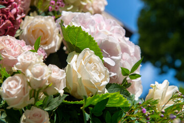 Fototapete bei efototapeten.de bestellen   