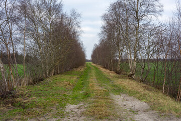 path in the park