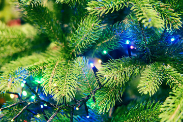 Branches of a Christmas tree with lights of a New Year garland