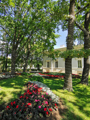  Flower garden in the park with hosta, white and red geraniums and plants with silver leaves against the background of trees and an old building on a sunny summer day.