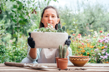 A woman gardener replanting succulents and cactuses outdoor