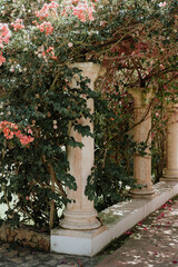 Bougainvillea flowers in a mediterranean garden with ancient columns and greenery, in a decadent romantic style
