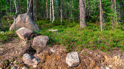 Scenic forest landscape with big stone with green grasses among thickets and trees. Vivid scenery with large boulders.