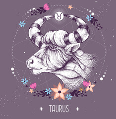 Modern magic witchcraft card with astrology Taurus zodiac sign. Realistic hand drawing bull head