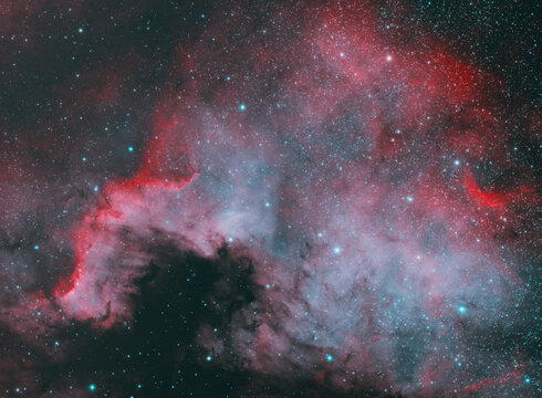 Close up of north America nebula also known as NGC 7000 in the Cygnus constellation. Taken with my telescope.