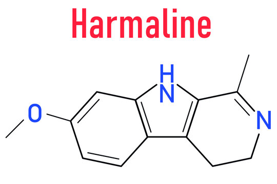 Harmaline indole alkaloid molecule. Found in Syrian rue (Peganum harmala). Skeletal formula.