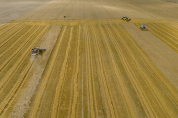 Yellow and green harvesters harvest wheat. Aerial view from above.