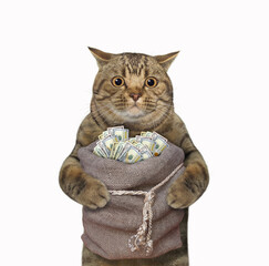 A beige cat holds a jute sack of dollars. White background. Isolated.