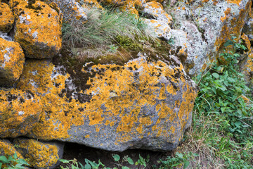 Old stone wall, moss and mold on the stone