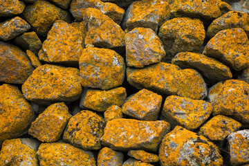 Old stone wall, moss and mold on the stone