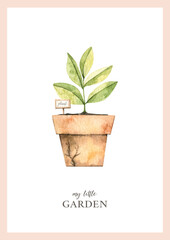 Watercolor childish poster with garden plant in vintage pot. Garden harvest illustration. Greenhouse. Children room decor. Perfect for invitations, greeting cards, packing, Baby shower
