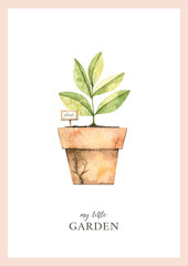 Fototapeta premium Watercolor childish poster with garden plant in vintage pot. Garden harvest illustration. Greenhouse. Children room decor. Perfect for invitations, greeting cards, packing, Baby shower