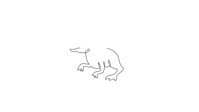 Animated self drawing of one continuous line draw aggressive predator velociraptor animal for logo identity. Raptor rex mascot concept for prehistoric museum icon. Full length single line animation.