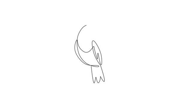 Animated self drawing of single continuous line draw adorable toucan bird with big beak for logo identity. Endangered animal mascot concept for national zoo icon. Full length one line animation.