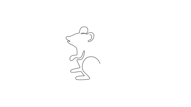 Animated self drawing of one continuous line draw cute standing mouse for logo identity. Funny rodent animal mascot concept for pest control icon. Full length single line animation illustration.