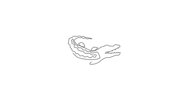 Animated self drawing of single continuous line draw wild rough alligator with mouth opened for logo identity. Crocodile reptile concept for conservation park icon. Full length one line animation.