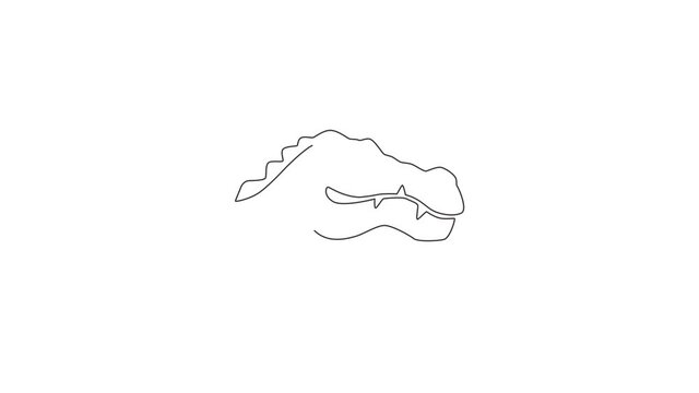 Animation of one line drawing of scary head river swamp alligator for logo identity. Reptile animal crocodile concept for national zoo icon. Continuous line self draw animated. Full length motion.
