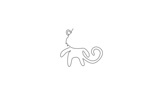 Animated self drawing of single continuous line draw cute walking monkey for national zoo logo identity. Adorable primate animal mascot concept for circus show icon. Full length one line animation.