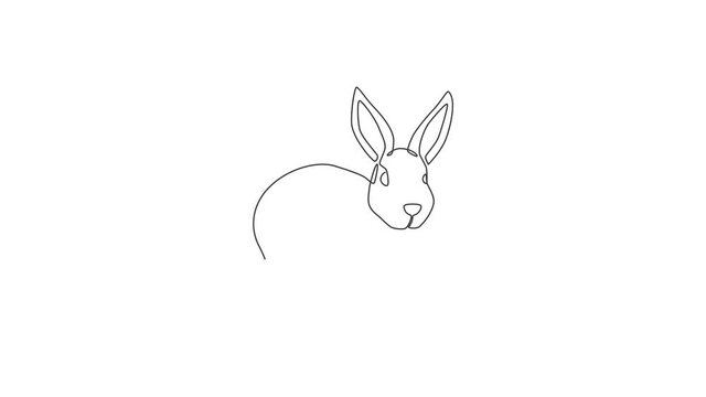 Animated self drawing of single continuous line draw funny rabbit for pet shop logo identity. Cute bunny animal mascot concept for kids toy shop icon. Full length one line animation illustration.