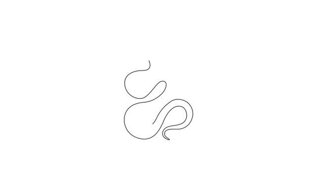 Animated self drawing of single continuous line draw venomous snake for business logo identity. Deadly black mamba mascot concept for company brand icon. Full length one line animation illustration.
