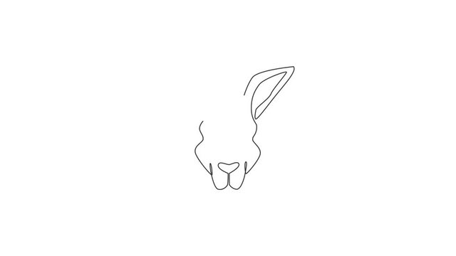 Animation of one single line drawing of cute kangaroo head for business logo. Wallaby animal from Australia mascot concept for company icon. Continuous line self draw animated. Full length motion.
