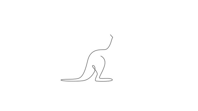 Animated self drawing of single continuous line draw adorable standing kangaroo for national zoo logo. Australian animal mascot concept for travel tourism campaign icon. Full length one line animation