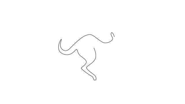 Animated self drawing of single continuous line draw adorable jumping kangaroo for national zoo logo. Australian animal mascot concept for travel tourism campaign icon. Full length one line animation.