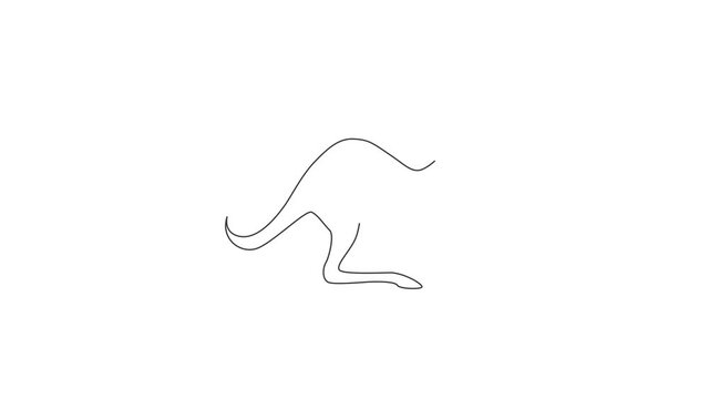 Animation of one single line drawing of cute standing kangaroo for business logo. Wallaby animal from Australia mascot concept for company icon. Continuous line self draw animated. Full length motion.