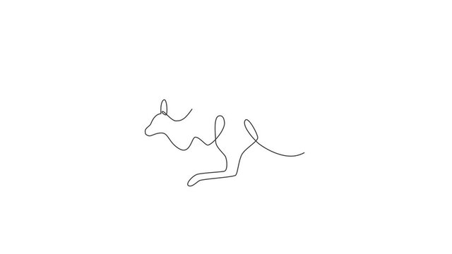 Animation of one single line drawing of cute jumping kangaroo for business logo. Wallaby animal from Australia mascot concept for company icon. Continuous line self draw animated. Full length motion.