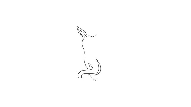 Animated self drawing of one continuous line draw funny kangaroo head for national zoo logo. Wallaby animal from Australia mascot concept for conservation park icon. Full length single line animation.
