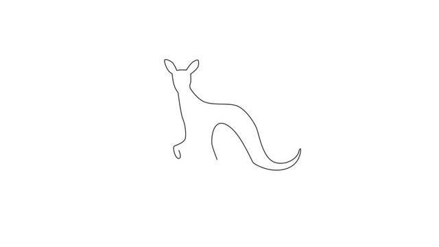 Animated self drawing of continuous line draw funny standing kangaroo for national zoo logo identity. Animal from Australia mascot concept for conservation park icon. Full length single line animation