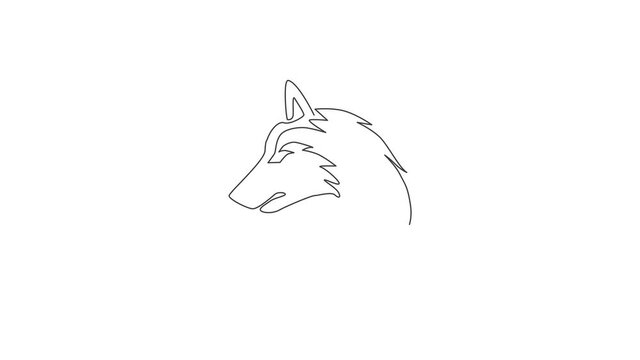 Animation of one single line drawing of dangerous wolf head for hunter club logo identity. Strong wolves mascot concept for national zoo icon. Continuous line self draw animated. Full length motion.
