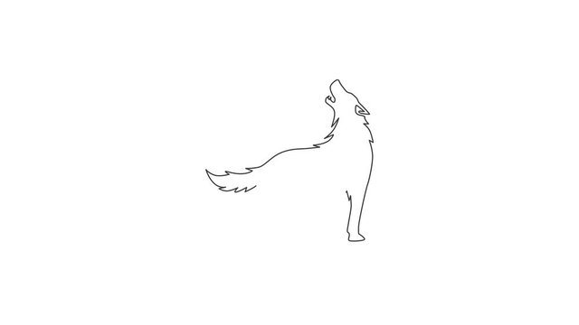 Animated self drawing of single continuous line draw mysterious wolf for e-sport team logo identity. Strong wolves mascot concept for national park icon. Full length one line animation illustration.