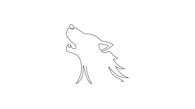 Animated self drawing of one continuous line draw dangerous wolf head for business logo identity. Wolves mascot emblem concept for conservation park icon. Full length single line animation.