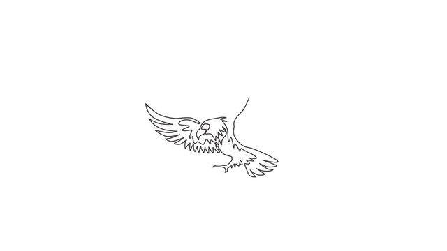 Animation of one single line drawing of strong eagle bird for company business logo identity. Falcon mascot concept for air force icon. Continuous line self draw animated. Full length motion.