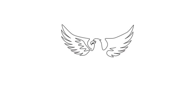 Animated self drawing of continuous line draw heroic eagle for e-sport team logo identity. Falcon bird mascot concept for graveyard icon. Full length one line animation illustration.