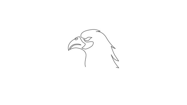 Animated self drawing of single continuous line draw heroic eagle head for e-sport team logo identity. Falcon bird mascot concept for graveyard icon. Full length one line animation illustration.