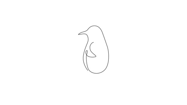 Animation of one line drawing of fun cute penguin for company business logo identity. North pole bird mascot concept for national zoo park. Continuous line self draw animated. Full length motion.