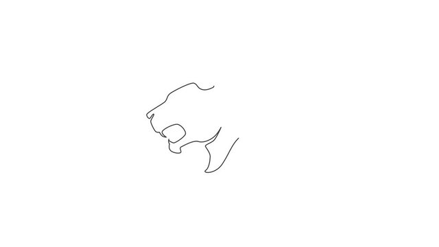 Animation of one line drawing of wild leopard head for company business logo. Strong jaguar animal mascot concept for national conservation park. Continuous line self draw animated. Full length motion