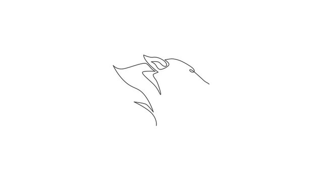 Animation of one line drawing of wild leopard head for company business logo. Strong jaguar animal mascot concept for national conservation park. Continuous line self draw animated. Full length motion