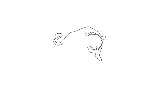 Animated self drawing of continuous line draw wild leopard head for multinational company logo. Strong panther mammal animal mascot concept for national safari zoo. Full length single line animation.