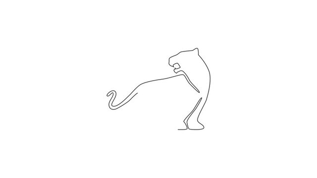 Animated self drawing of single continuous line draw elegant leopard for hunter team logo identity. Dangerous jaguar mammal animal mascot concept for sport club. Full length one line animation.