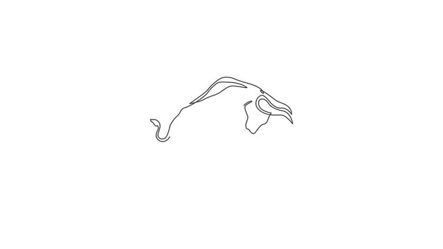 Animation of one line drawing of elegance buffalo for conservation national park logo identity. Big strong bull mascot concept for rodeo show. Continuous line self draw animated. Full length motion.