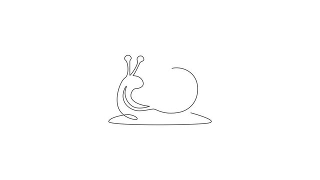 Animated self drawing of single continuous line draw exotic snail with spiral shell mascot concept for organic food logo identity. High nutritious escargot healthy food. Full length one line animation