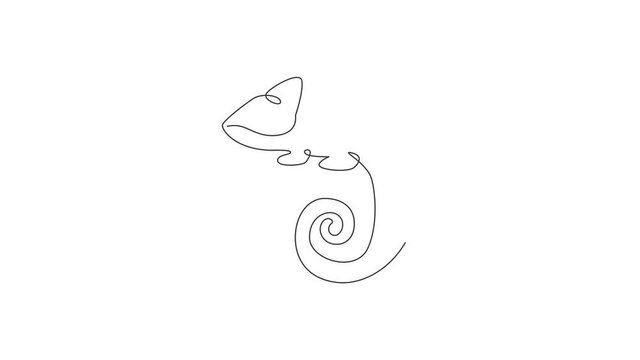 Animated self drawing of continuous line draw chameleon with spiral tail mascot concept for reptilian pet lover society. Exotic reptile animal for company logo. Full length single line animation.