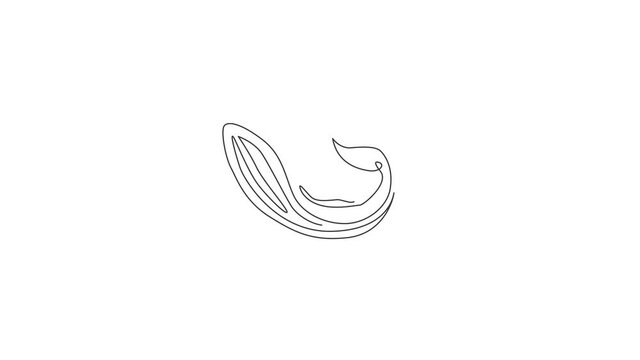 Animation of one single line drawing of big whale fish for company logo. Giant creature mammal animal mascot concept for conservation foundation. Continuous line self draw animated. Full length motion